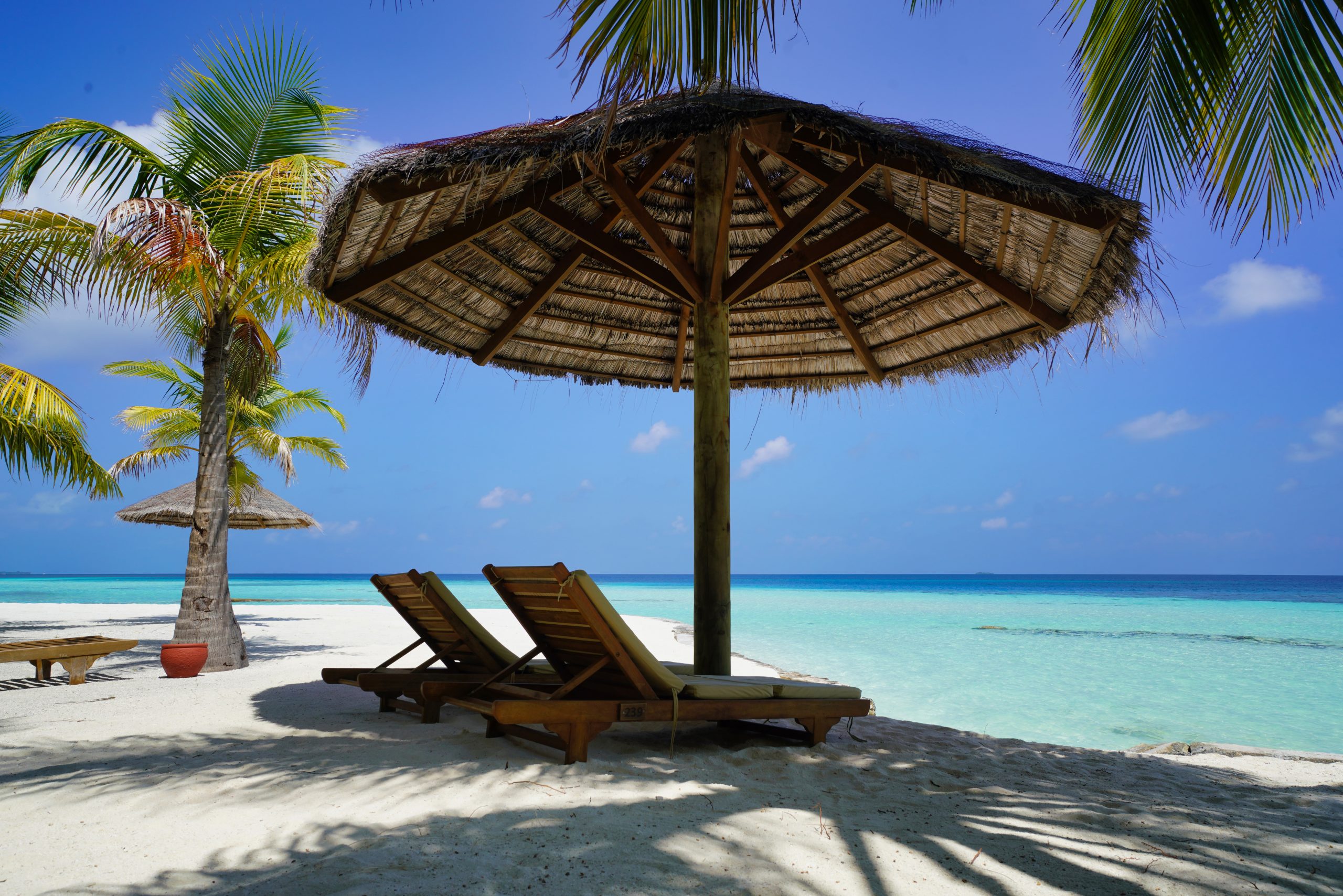 Beach scene with wooden lounge chairs under umbrella.